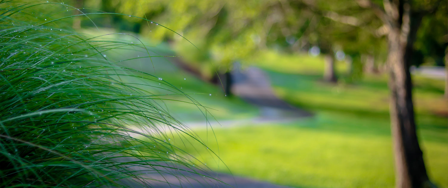 Cost of Living - Savannah Lakes