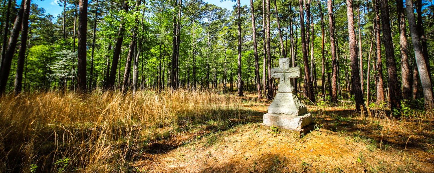 History - Savannah Lakes