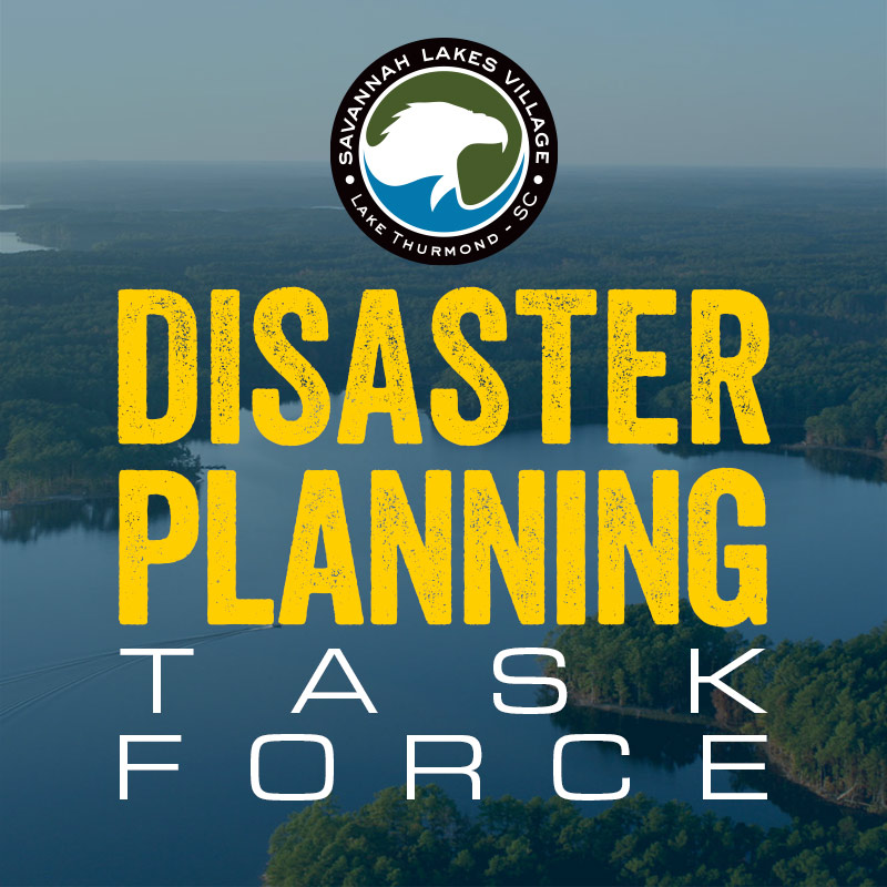 SLV Disaster Planning Task Force profile image